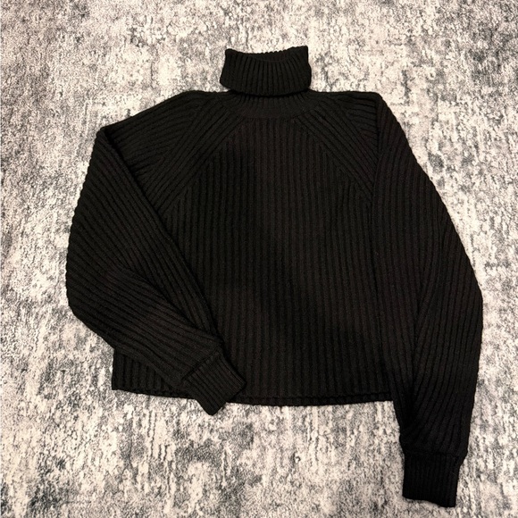Aritzia Sweaters - Aritzia Wilfred Knit Turtleneck